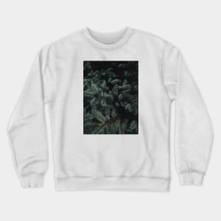 Inside The Dark Tree Crewneck Sweatshirt